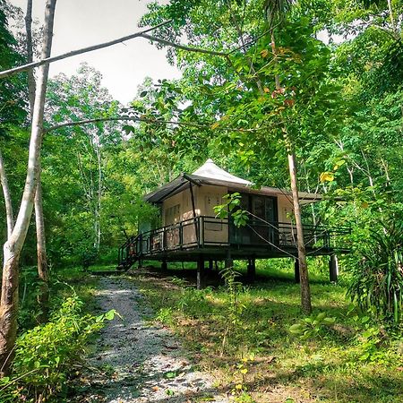Anurak Community Lodge - Sha Plus Khao Sok National Park ภายนอก รูปภาพ